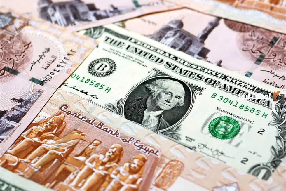 سعر الدولار اليوم في البنك المركزي المصري