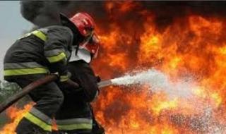 السيطرة على حريق بأسطح عدد من المنازل وسط مدينة الأقصراليوم الخميس، 6 يونيو 2024 09:20 مـ   منذ ساعة 10 دقائق