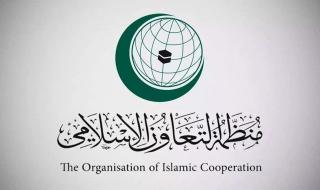 "التعاون الإسلامي" ترحب بقرار مجلس الأمن الداعي لوقف فوري لإطلاق النار في غزة