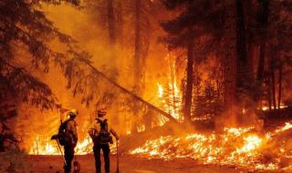 أكبر حريق في الولايات المتحدة يدمر 1554 كيلومترا مربعًا