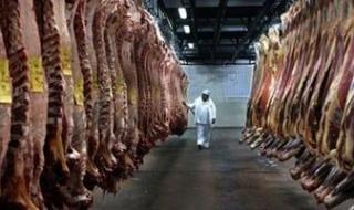 أسعار اللحوم في الأسواق اليوم السبت 27 يوليو 2024