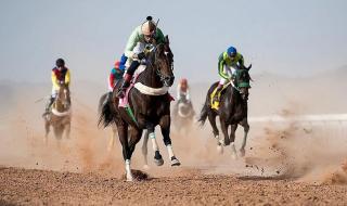 ميدان سباقات الخيل بنجران يٌنظّم اليوم حفل سباقه السابع للموسم الحالي