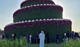 برج
      حلزوني
      ونفق
      وردي
      يزينان
      «العين
      للزهور»