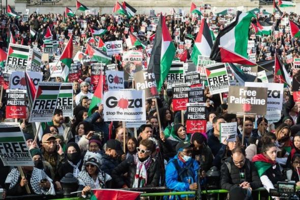 مظاهرات حاشدة في واشنطن تضامنا مع الشعب الفلسطيني