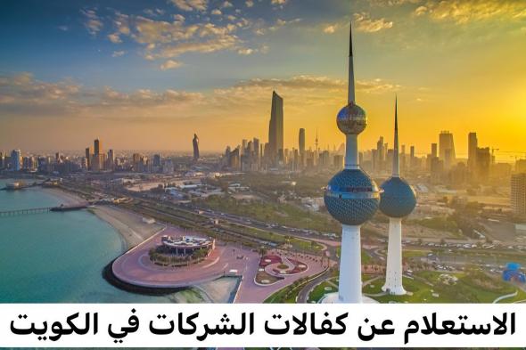 طرق الاستعلام عن كفالات الشركات في الكويت ونقل الكفالات إلكترونيا
