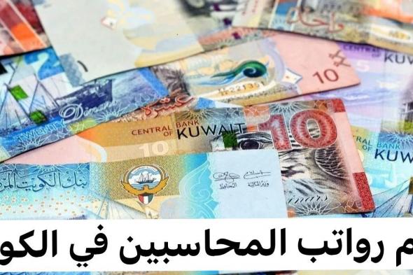 سلم رواتب المحاسبين.. ما هي أعلى وأدنى رواتب المحاسبين في الكويت وما هي العوامل التي تؤثر عليها؟