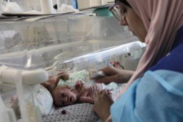 مستشفيات مصر تستقبل أطفال غزة حديثى الولادة