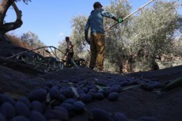 قوات الاحتلال الإسرائيلى تقتحم قرية دير الحطب شرق نابلس بالضفة الغربية