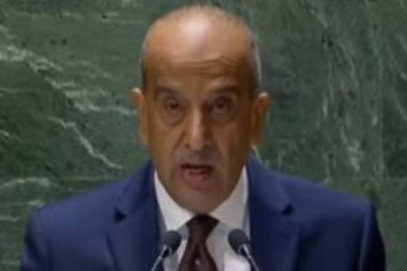 مندوب مصر بالأمم المتحدة: مجلس الأمن عجز عن أداء واجبه بوقف إطلاق النار بغزة