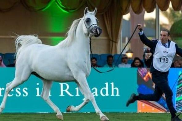 شاهد.. العرض الدولي السادس لجمال الخيل العربية الأصيلة يواصل منافساته في اليوم الثاني