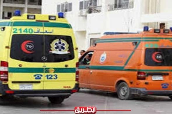 إصابة 14 مواطنًا فى حادث تصادم بمحافظة البحيرة الثلاثاء، 14 نوفمبر 2023 01:08 مـ