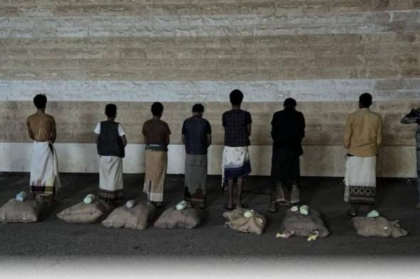 القبض على 7 مخالفين لنظام الحدود لتهريبهم 105 كيلوغرامات من «القات»