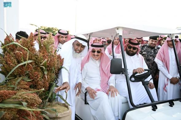 شاهد| افتتاح مهرجان "عذق" للذرة الرفيعة والنباتات العطرية في ضمد