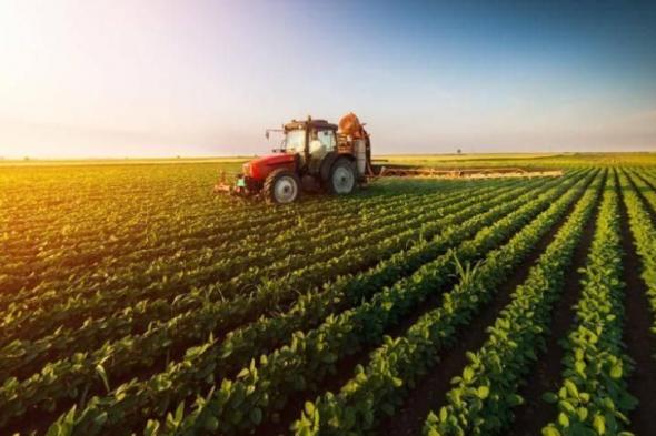 مصر ترفع صادراتها الزراعية إلى 7 ملايين طن سنوياً