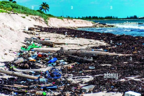 التلوث البلاستيكي يصل إلى مستويات حرجة على الساحل المكسيكي