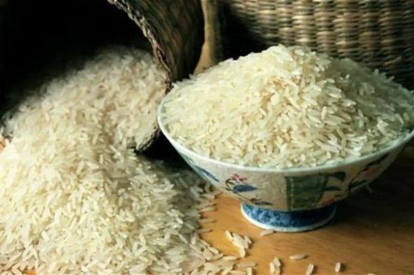 سعر الأرز الشعير اليوم في مصر الأربعاء 24 يناير 2024 .. ارتفاع لا يصدق