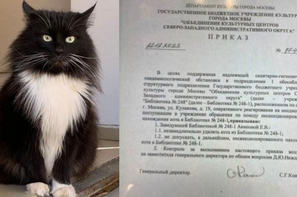 قصة القط ماركيز.. أثار طرده من مكتبة عامة أزمة في روسيا وصلت البرلمان وعلماء النفس