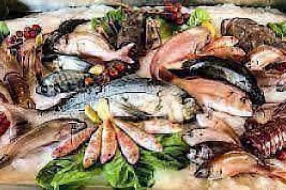 نرصد أسعار الأسماك في سوق العبور اليوماليوم الخميس، 1 فبراير 2024 09:42 صـ   منذ 44 دقيقة