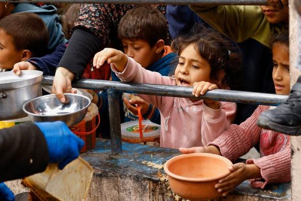 بالصور: اضطروا إلى أكل الحمير وطهي ورق الشجر.. مشاهد صادمة من غزة توثقها الكاميرا