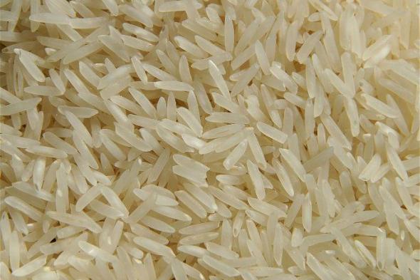سعر الأرز الشعير اليوم في مصر الخميس 22 فبراير 2024 .. مفاجأة قبل رمضان