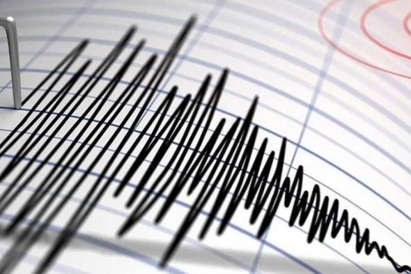 زلزال بقوة 4.6 درجات يضرب جنوب المكسيك