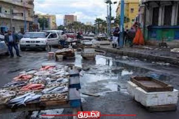 «المقاطعة» كلمة السر.. المصريون يوجهون ضربة قوية لتجار الأسماك بدعم من الحكومةاليوم السبت، 4 مايو 2024 12:45 مـ