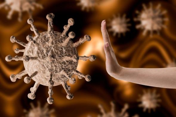 ماذا يحدث عند الإصابة بعدة فيروسات في وقت واحد؟