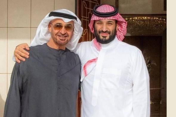 قرقاش: لقاءات محمد بن زايد بمحمد بن سلمان فيها الخير لشعوبنا وأوطاننا