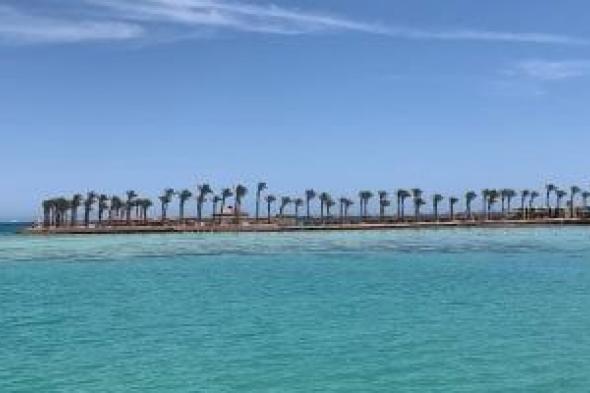 نقيب المرشدين السياحيين بالبحر الأحمر: اختيار الغردقة من أفضل الوجهات السياحية بالعالم