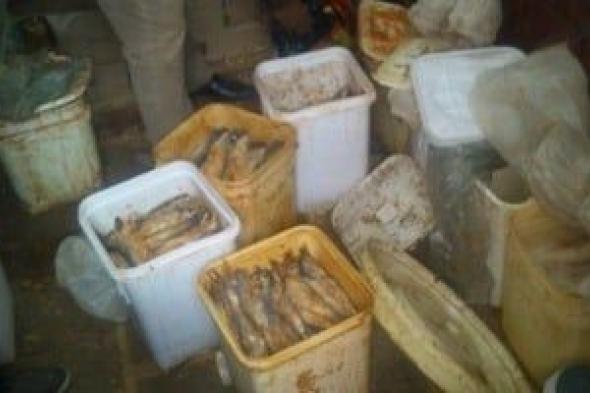 ضبط طن أسماك مملحة غير صالحة للاستهلاك الآدمى في حملة بكفر الشيخ