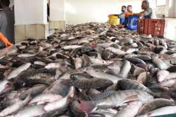 أسعار الأسماك فى سوق العبور اليوم السبتاليوم السبت، 18 مايو 2024 10:14 صـ   منذ 17 دقيقة