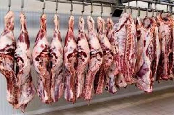 ننشر أسعار اللحوم الحمراء فى الاسواق اليوم السبتاليوم السبت، 18 مايو 2024 10:10 صـ   منذ 20 دقيقة