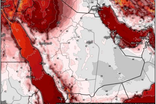 "الحصيني": نجم البطين يبدأ غدًا.. تأهُّب لخروج العقارب والحيات فحصِّنوا أنفسكم