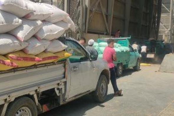 تموين سوهاج: توريد 113 ألف طن من القمح للشون والصوامع