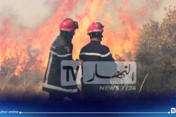 مستغانم.. الحماية المدنية تتدخل من اجل اخماد حريق غابة " بورحمة "