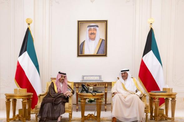 ولي عهد الكويت ووزير الخارجية يستعرضان فرص التعاون الثنائي في مختلف المجالات