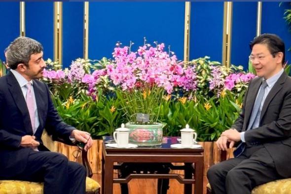 عبدالله بن زايد يلتقي رئيس وزراء سنغافورة