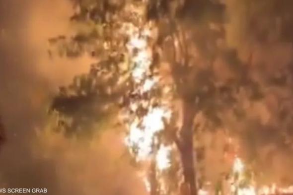 بالفيديو .. اندلاع حرائق غابات ضخمة شمال إسرائيل بعد هجوم لحزب الله