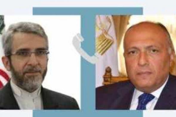 سامح شكرى يستعرض مع وزير خارجية إيران الجهود المبذولة لوقف الحرب على غزة