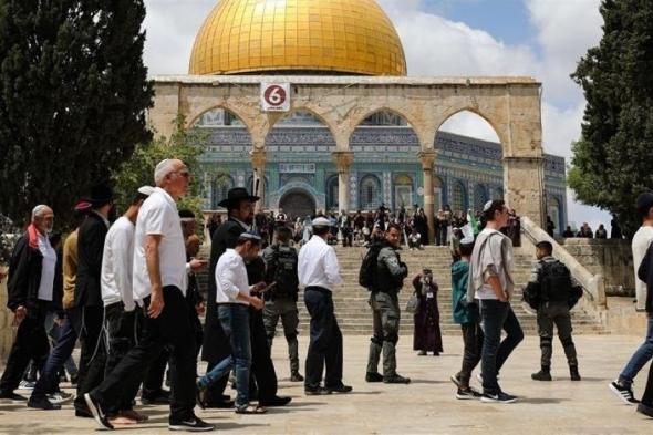المملكة تدين اقتحام مسؤولين إسرائيليين وأعضاء الكنيست ومستوطنين متطرفين للمسجد الأقصى