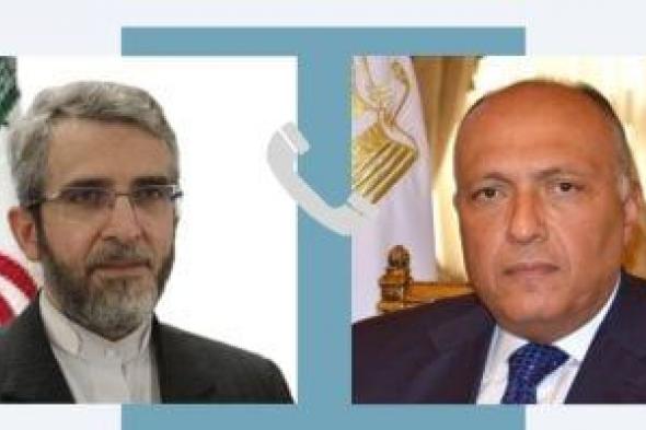 سامح شكرى يستعرض مع وزير خارجية إيران الجهود المبذولة لوقف الحرب على غزة