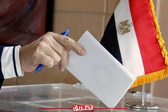 مصر تنقل تجربتها إلى الانتخابات الرئاسية بفنزويلا.. ما القصةاليوم الخميس، 6 يونيو 2024 11:47 صـ