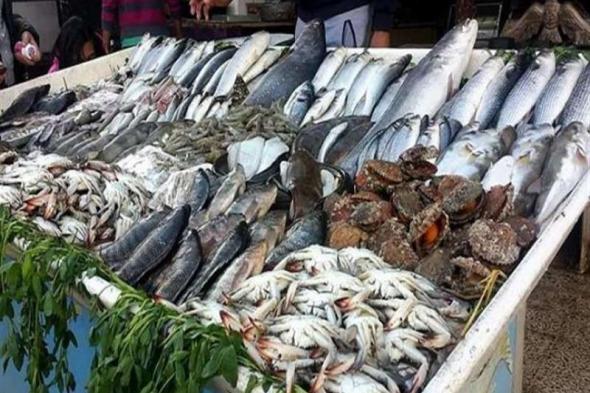 ننشر أسعار الأسماك فى سوق العبور اليوم الخميساليوم الخميس، 6 يونيو 2024 09:07 صـ   منذ 16 دقيقة