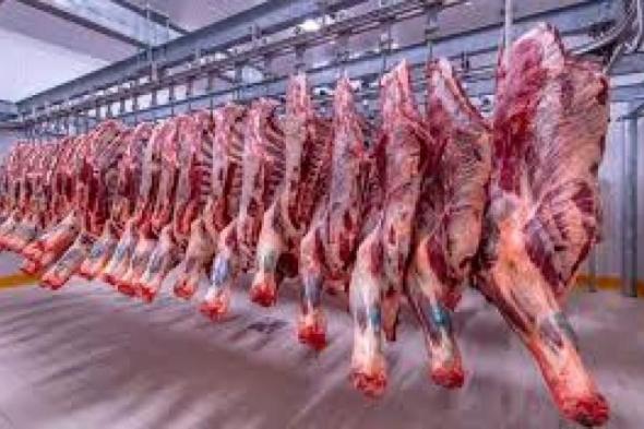 اسعار اللحوم الحمراء فى سوق العبور اليوم الخميساليوم الخميس، 6 يونيو 2024 09:25 صـ   منذ ساعة 5 دقائق