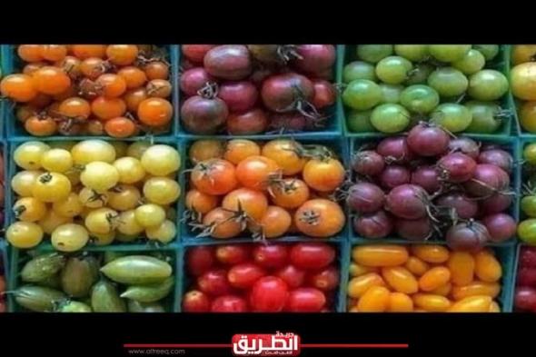 تعرف على مصادر ألوان الطماطم وخصائصها الغذائيةالأمس الأربعاء، 5 يونيو 2024 11:31 مـ