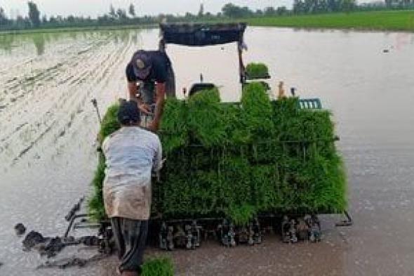 تكنولوجيا جديدة لخفض انبعاثات الميثان من زراعات الأرز على مستوى العالم