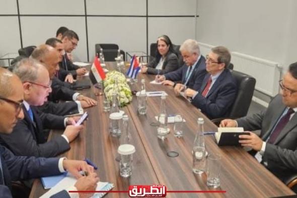 وزير الخارجية يبحث مع نظيره الكوبي تبادل الرؤى بشأن الحرب على غزةاليوم الإثنين، 10 يونيو 2024 07:11 مـ