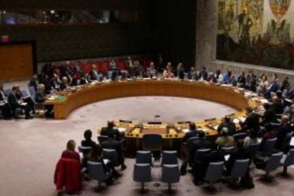 الجزائر: إصلاح مجلس الأمن أصبح ضرورة مطلقة أكثر من أى وقت مضى
