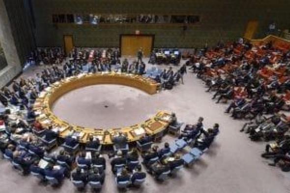 مندوب فلسطين لدى مجلس الأمن: مصممون على استدامة وقف إطلاق النار في غزة