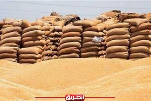 وزير التجارة: مصر تتطلع إلى أن تصبح مركزًا إقليميًا لتجارة الحبوباليوم الثلاثاء، 11 يونيو 2024 11:07 مـ